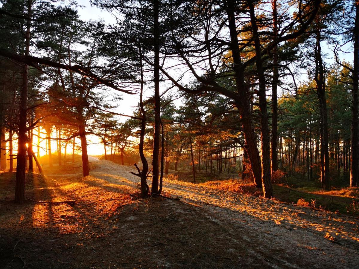 Sunny Pines Apartment Паланга Екстериор снимка